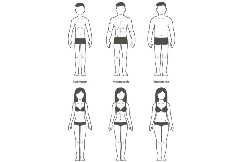 body types 1 e1599520242984