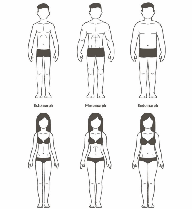 body types 1 e1599520242984