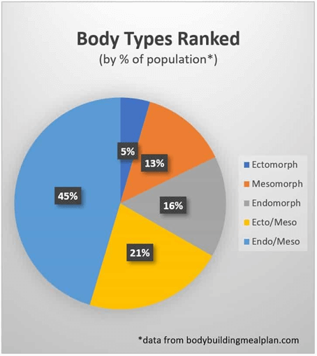 body types ranked