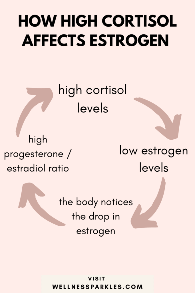 high cortisol affects estrogen