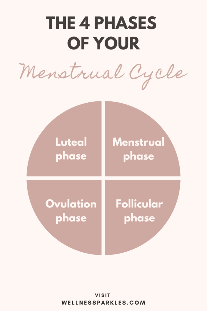 the 4 phases of your menstrual phases shart